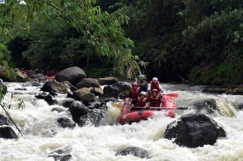 gallery-Rafting-05